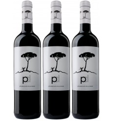 PINO DONCEL BLACK Caja 3 Botellas