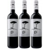 PINO DONCEL BLACK Caja 3 Botellas