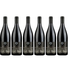 Lavia Finca Paso Malo Caja 6 Botellas