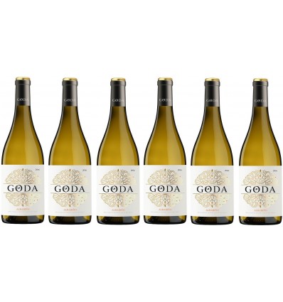 GODA Caja 6 Botellas