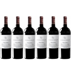 PAGO DE LOS CAPELLANES Crianza Caja 6 Botellas