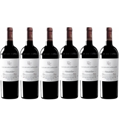 PAGO DE LOS CAPELLANES Crianza Caja 6 Botellas