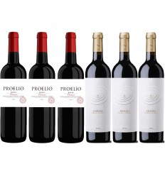 PROELIO Pack Bodega Caja 6 Botellas