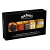 JACK DANIEL'S FAMILY MINI PACK (5X0,05cl)