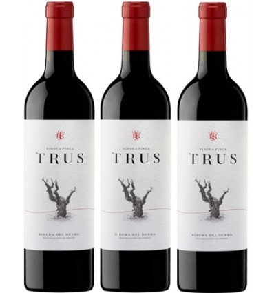 TRUS Roble Caja 3 Botellas