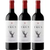 TRUS Roble Caja 3 Botellas