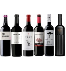 Pack vinos robles