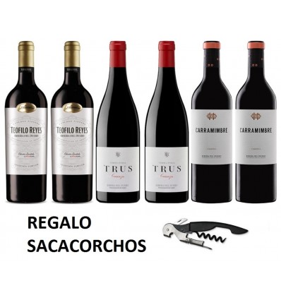 PACK 6 BOTELLAS RIBERA DEL DUERO