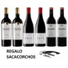 PACK 6 BOTELLAS RIBERA DEL DUERO