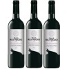 FINCA RÍO NEGRO Tinto Caja 3 Botellas