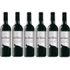 FINCA RÍO NEGRO Tinto Caja 6 Botellas