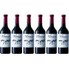 VIVANCO Crianza Caja 6 Botellas