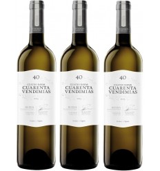 40 Vendimias Mágnum Caja 3 Botellas