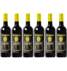 Sauvignonissima Caja 6 Botellas