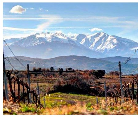 Entorno Bodegas Domaine Lafage