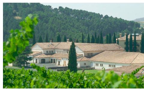 Entorno Bodegas Señorío de Sarría