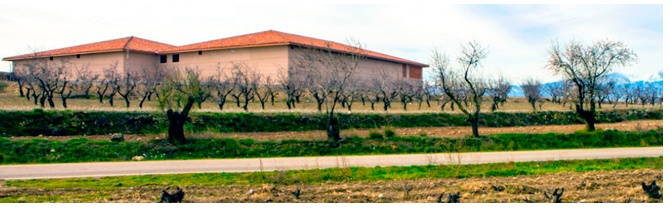 Instalaciones Bodegas Alto Moncayo