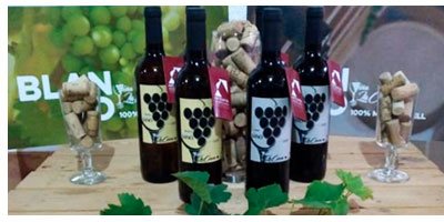 Productos Bodegas Viña La Cerca en Vinorea