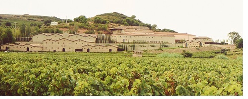 Viñedos Bodegas Marqués de Murrieta