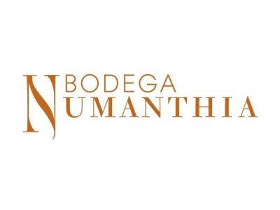 Bodegas Numanthia